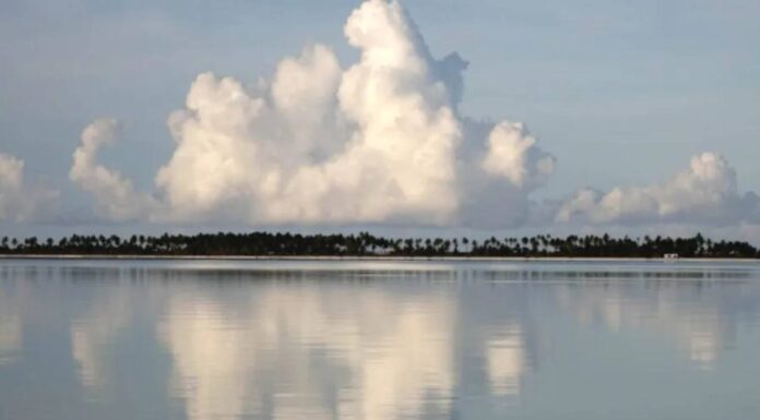 Véronique Caye : Polynesia 66, carnet de constellations Véronique Caye