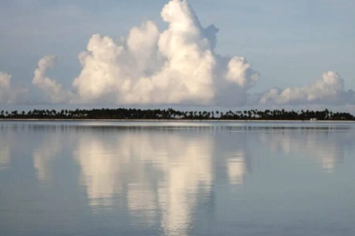 Véronique Caye