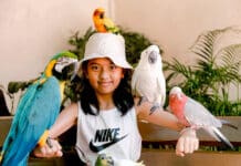 A la découverte des parcs de Kuala Lumpur ! Les parcs de Kuala Lumpur