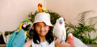 A la découverte des parcs de Kuala Lumpur ! Les parcs de Kuala Lumpur