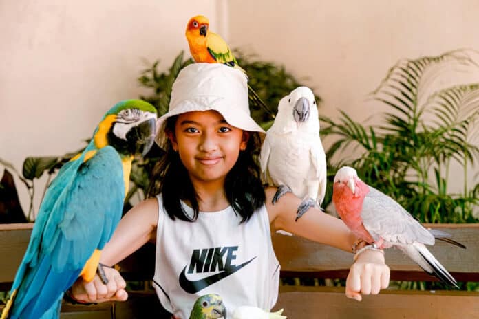 Les parcs de Kuala Lumpur Les parcs de Kuala Lumpur