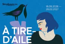 À tire d’aile : première expo individuelle d’Anna Sommer au musée Tomi Ungerer À tire d'aile : Première expo individuelle d'Anna Sommer au sein d'une institution française, musée Tomi Ungerer de Strasbourg