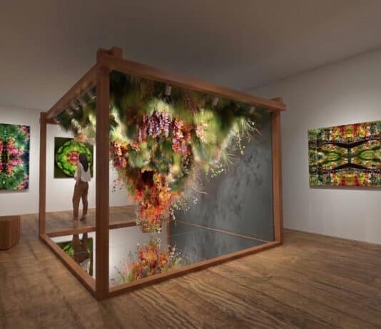 Alexis TRICOIRE : La nature en Suspens