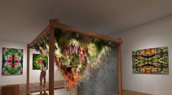 Alexis TRICOIRE : La nature en Suspens