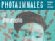 Les Photaumnales inaugure la saison nationale du bicentenaire de l’invention de la photographie en France Les Photaumnales 2026