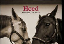 LUX the band : Heed (America's Got a Gun)