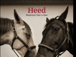 LUX the band : Heed (America's Got a Gun)