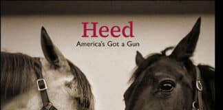 LUX the band : Heed – America’s Got a Gun LUX the band : Heed (America's Got a Gun)