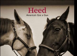 LUX the band : Heed – America’s Got a Gun LUX the band : Heed (America's Got a Gun)