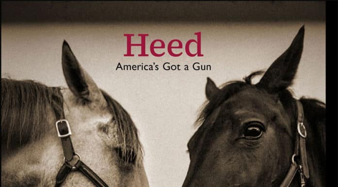LUX the band : Heed – America’s Got a Gun LUX the band : Heed (America's Got a Gun)