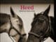 LUX the band : Heed – America’s Got a Gun LUX the band : Heed (America's Got a Gun)