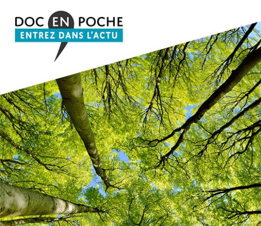 Les forêts en 30 questions