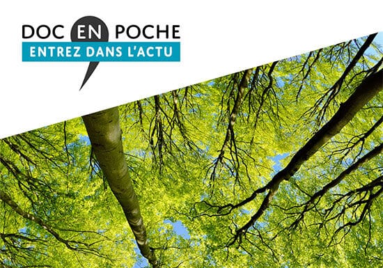 Les forêts en 30 questions Les forêts en 30 questions