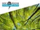 Les forêts en 30 questions