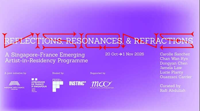 Visions: Reflections, Resonances, and Refractions